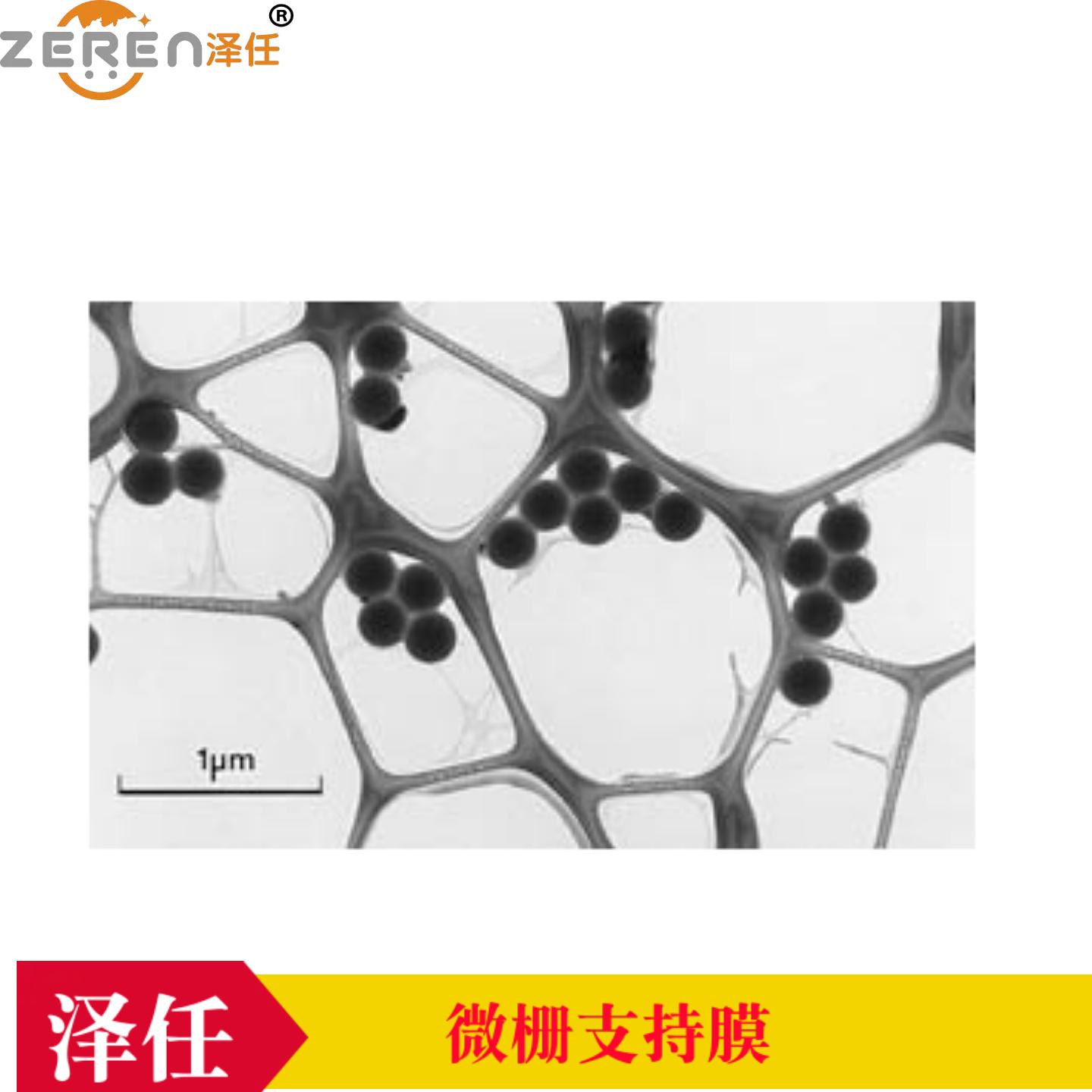 意昂5官网