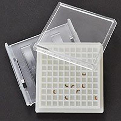 意昂5官网
